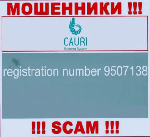 Регистрационный номер, принадлежащий мошеннической организации Каури Ком: 9507138