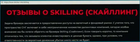 Skilling - это организация, работа с которой приносит лишь убытки (обзор мошеннических действий)
