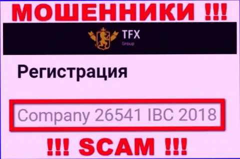 Номер регистрации, принадлежащий противоправно действующей компании TFX-Group Com: 26541 IBC 2018