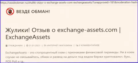 Чем чревато взаимодействие с организацией Exchange Assets ? Обзорная статья о лохотронщике