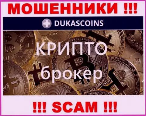 Вид деятельности интернет-кидал DukasCoin это Crypto trading, но имейте ввиду это развод !!!