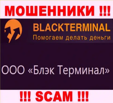 На официальном веб-сервисе Black Terminal написано, что юр лицо компании - ООО Блэк Терминал