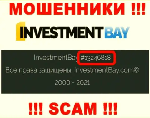 Регистрационный номер, под которым официально зарегистрирована организация Investment Bay: 13246818