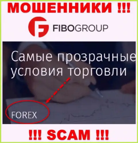 FIBO Group Ltd занимаются грабежом доверчивых людей, орудуя в области Forex