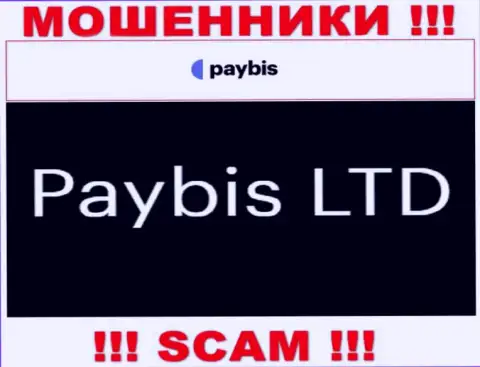 ПэйБис Лтд руководит компанией PayBis - КИДАЛЫ !!!