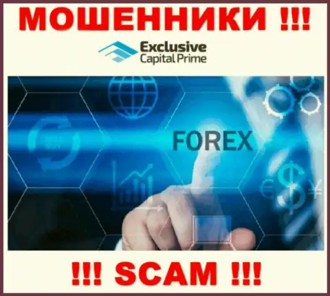 FOREX - это направление деятельности преступно действующей организации Exclusive Capital