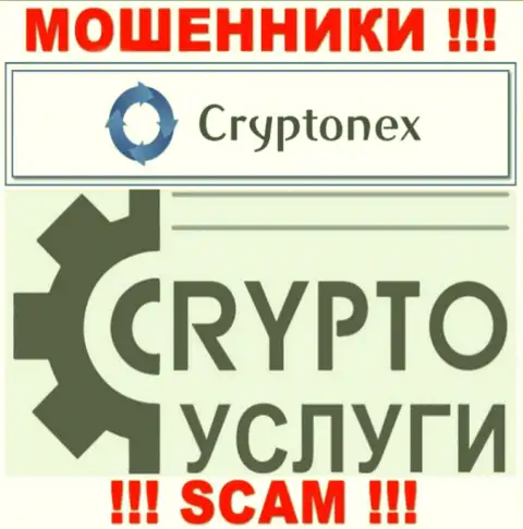 Имея дело с CryptoNex, сфера деятельности которых Криптовалютные услуги, рискуете лишиться своих финансовых средств