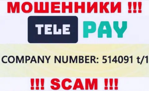 Номер регистрации ТелеПай, который показан мошенниками у них на интернет-портале: 514091 t/1