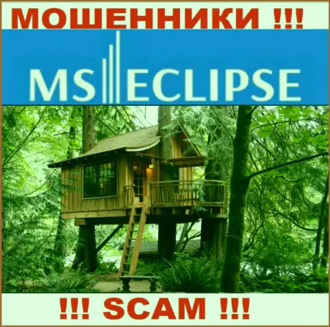 Неизвестно где базируется лохотрон MS Eclipse, свой юридический адрес скрывают