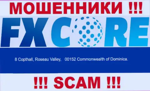 Изучив сайт FX Core Trade можно заметить, что расположены они в офшоре: 8 Copthall, Roseau Valley, 00152 Commonwealth of Dominica - это МОШЕННИКИ !!!