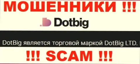 DotBig - юридическое лицо internet обманщиков организация DotBig LTD