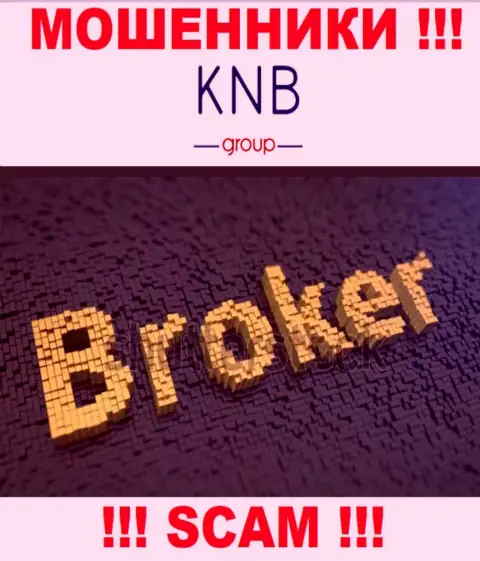 Область деятельности противоправно действующей организации KNBGroup - это Брокер