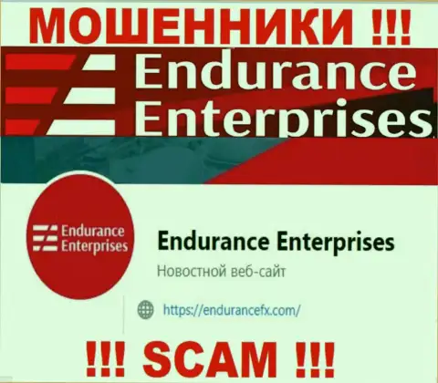 Установить связь с интернет мошенниками из конторы EnduranceFX Вы сможете, если напишите письмо на их адрес электронной почты