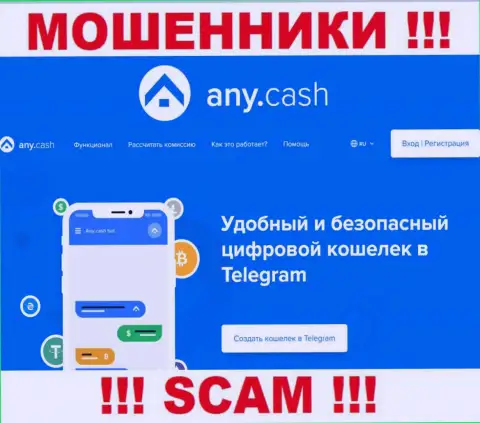 Иметь дело с AnyCash очень опасно, потому что их сфера деятельности Криптовалютный кошелёк - это лохотрон