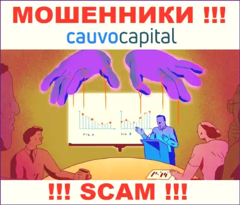 Не рекомендуем соглашаться взаимодействовать с интернет мошенниками CauvoCapital Com, украдут денежные средства