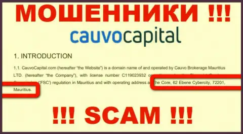 Невозможно забрать назад деньги у конторы CauvoCapital - они сидят в оффшорной зоне по адресу The Core, 62 Ebene Cybercity, 72201, Mauritius
