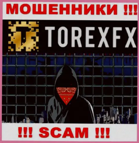 TorexFX Com скрывают инфу о Администрации компании